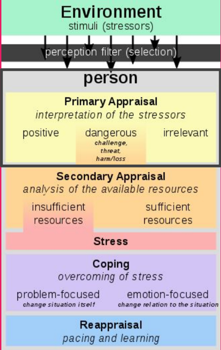 appraisal theory of emotion pdf